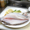 Fresh Whole Sea Bass Catch