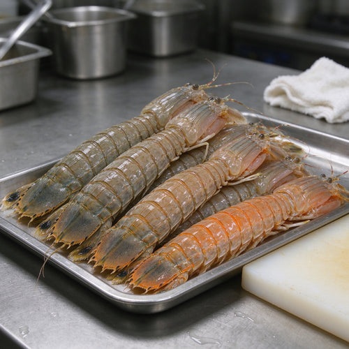 Fresh Mantis Shrimp Ocean Catch