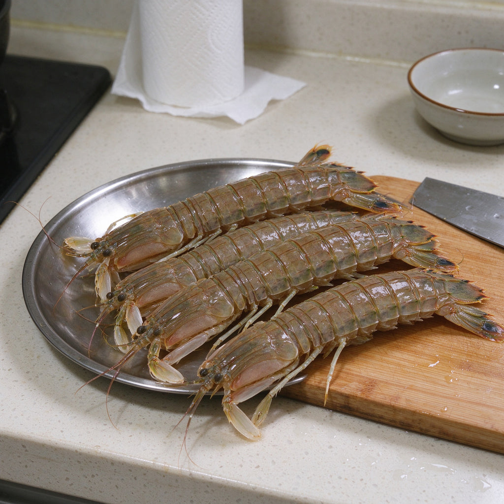 Fresh Mantis Shrimp Ocean Catch