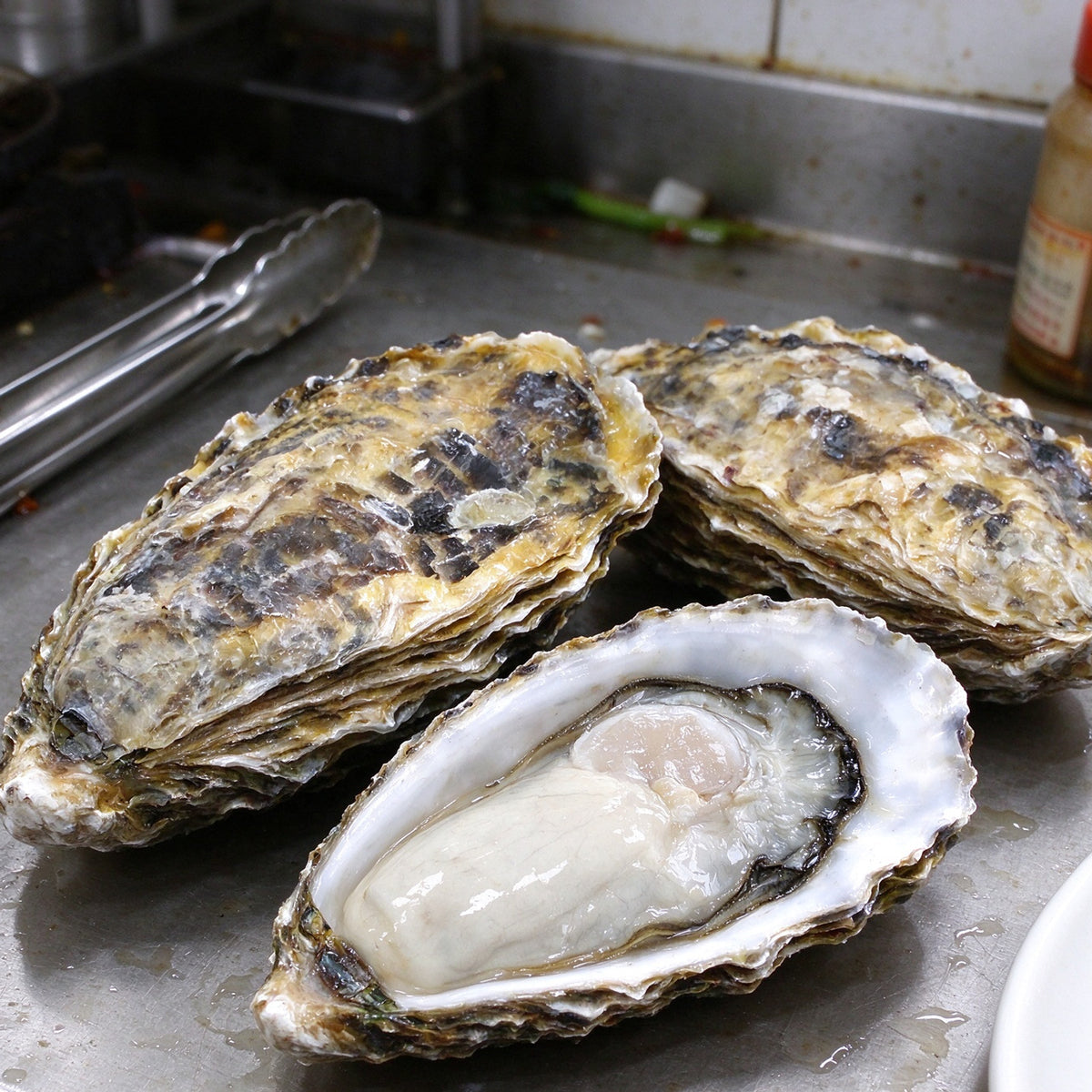 Fresh Shucked Oysters Half Shell