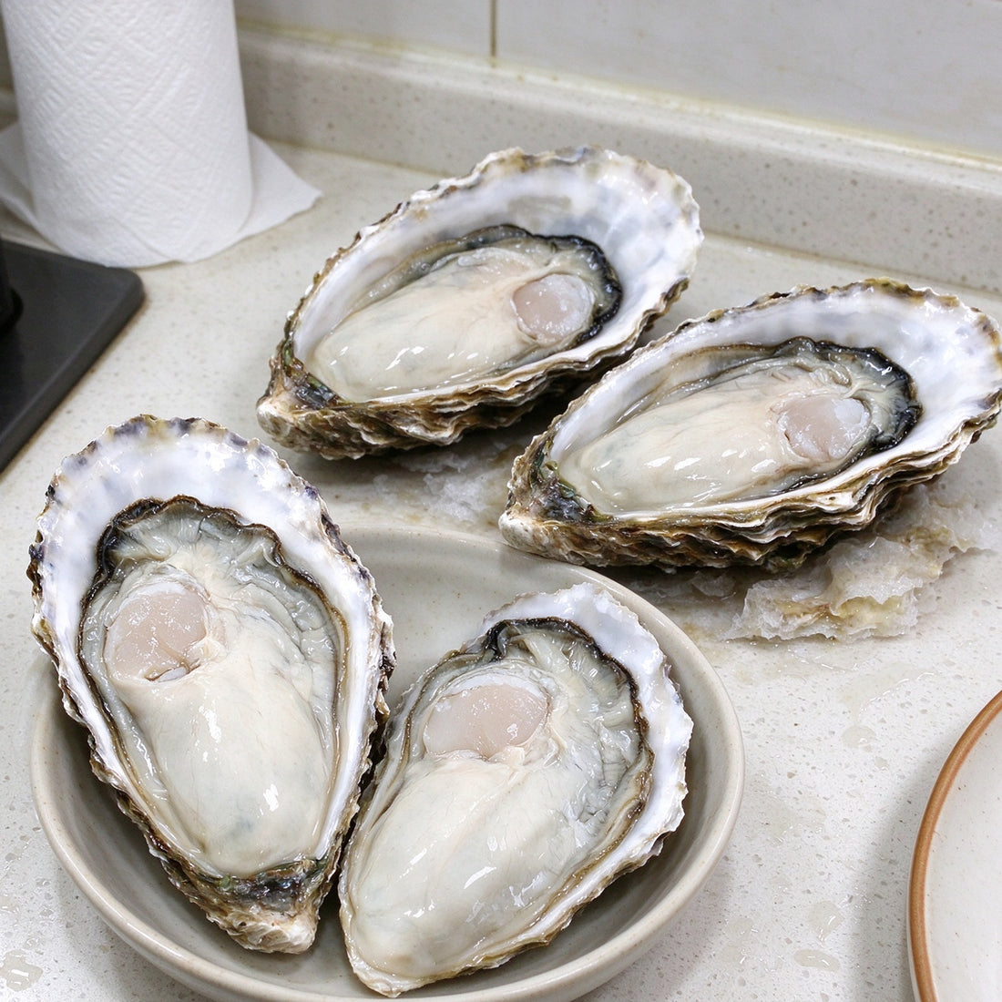 Fresh Shucked Oysters Half Shell